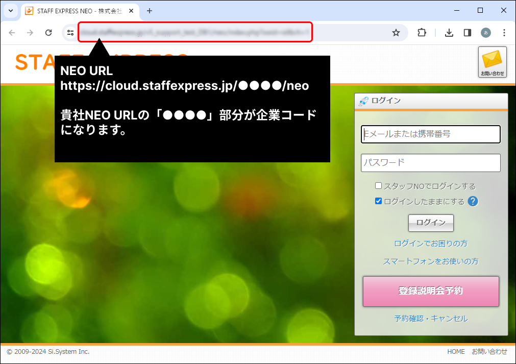Frame 2 (7).png